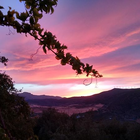 Finca La Piedra Holidays 알로라 외부 사진