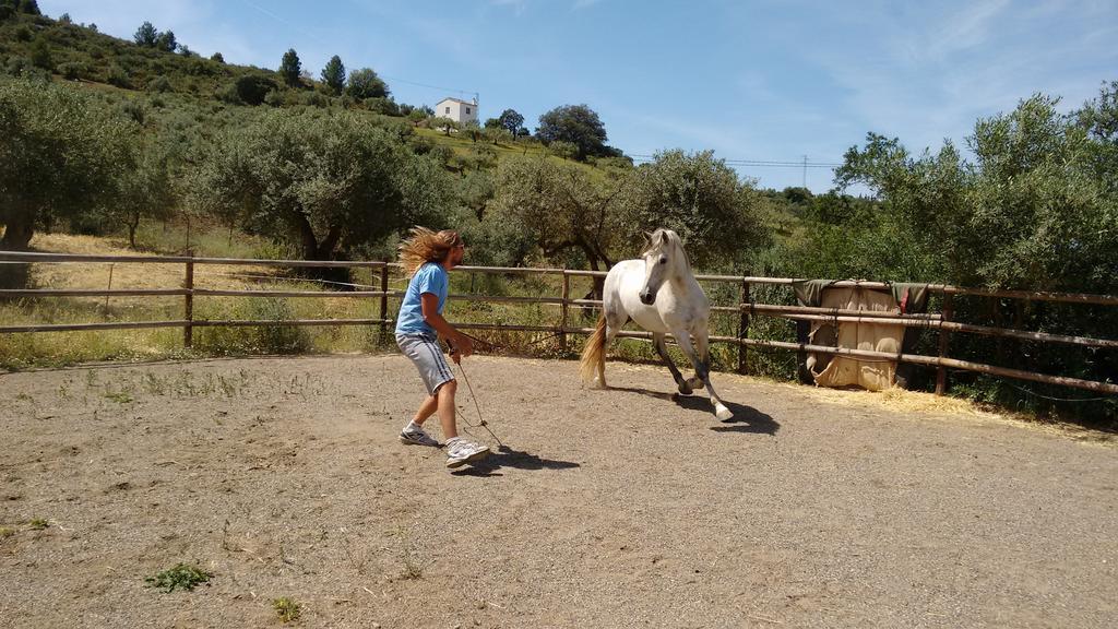 Finca La Piedra Holidays 알로라 외부 사진
