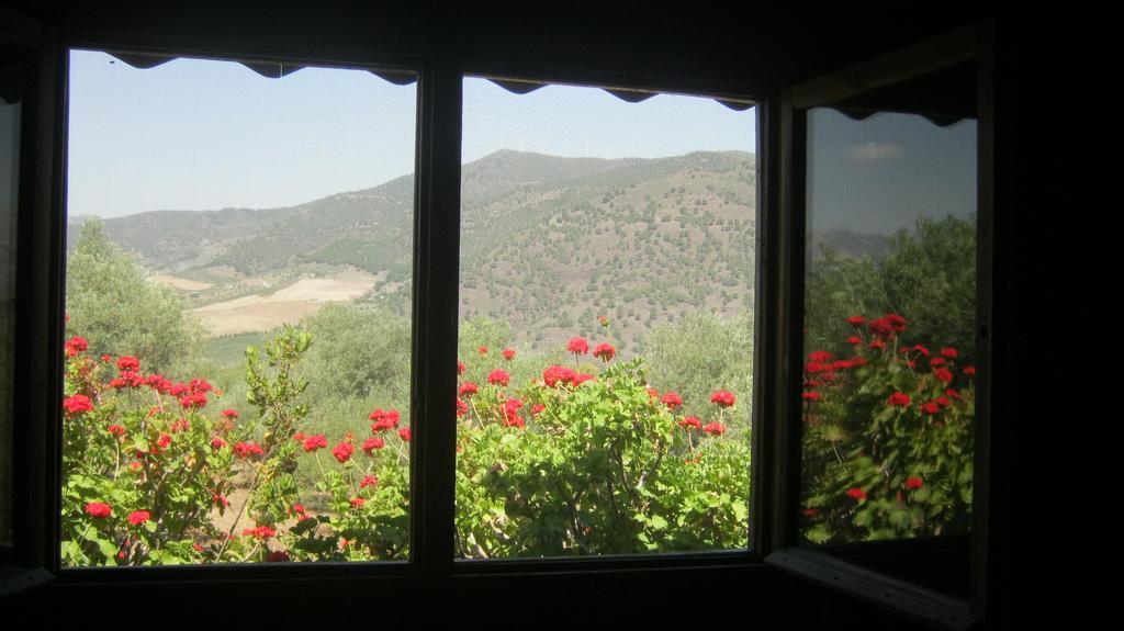 Finca La Piedra Holidays 알로라 객실 사진