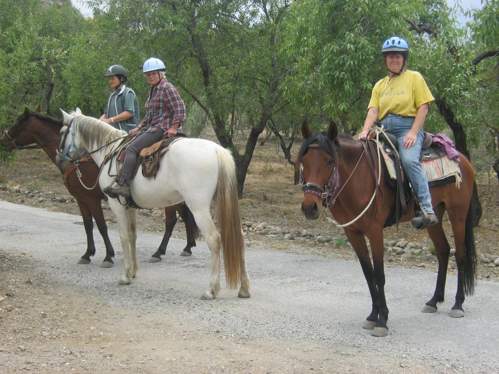 Finca La Piedra Holidays 알로라 외부 사진