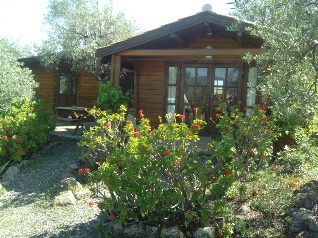 Finca La Piedra Holidays 알로라 객실 사진