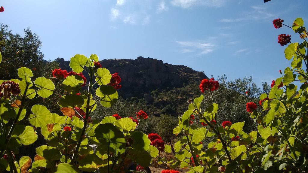 Finca La Piedra Holidays 알로라 외부 사진